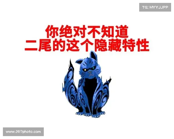 火影忍者手游通灵兽 火影忍者手游通灵兽